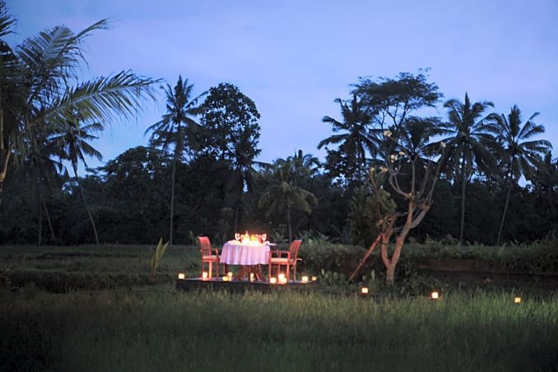 De Sawah Satoe Villa And Resort Ubud Exterior foto